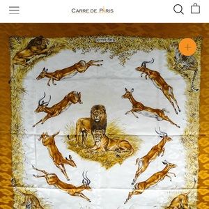 Vintage Hermés Kenya Scarf